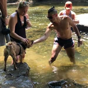 Meet your Posher, Corey